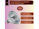 Галогенная лампа Muller Licht HLRG-550F/X 36° 50w Xenon 12v GU5.3 EXN/C