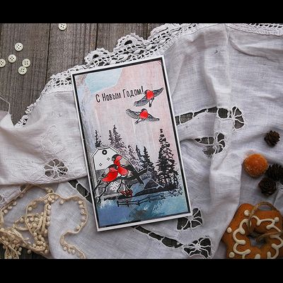 ФП штамп "Снегирь"