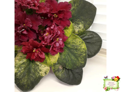 ЕК-Жара (Е. Коршунова) 2018 г.