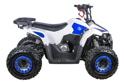 Квадроцикл YACOTA RAPOSA