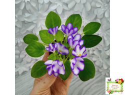 2А-Проба Пера (Е. Кольцова) 2024 г.