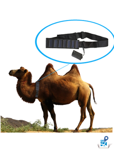 X-Pet T500 GPS-ошейник для крупных животных с солнечными панелями для зарядки аккумулятораr