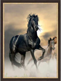 картина в раме  50х70 см Freedom