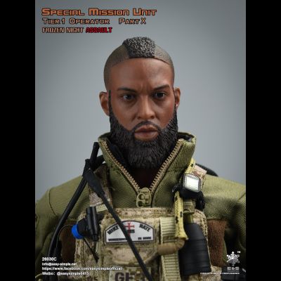 Штурмовик группы Сил специальных операций США - КОЛЛЕКЦИОННАЯ ФИГУРКА 1/6 scale Special Mission Unit Part X Frozen Night Assault (26030C) - Easy&amp;Simple