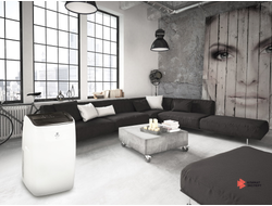 Мобильный кондиционер cерии LARGO PRO RM-LP60CN-E