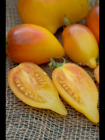 Томат Персик Каплевидный, 10 шт