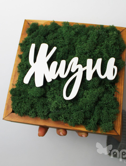 ЖИВАЯ ЭКО-КАРТИНА 1059