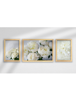 Набор постеров в раме из 3 шт.,  дерево, ПРН-165