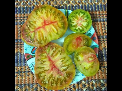 Томат Грин копия (Зеленая копия, Grin copia)