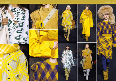 Showdetails Magazine Womenswear Collection Paris London Accessories Issue 31 Autumn-Winter 2024