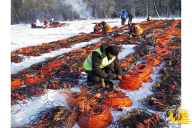 Выгодно купим сейсмические кабели на лом. Предлагаем лучшие цены!