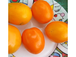 Томат Подарок солнца