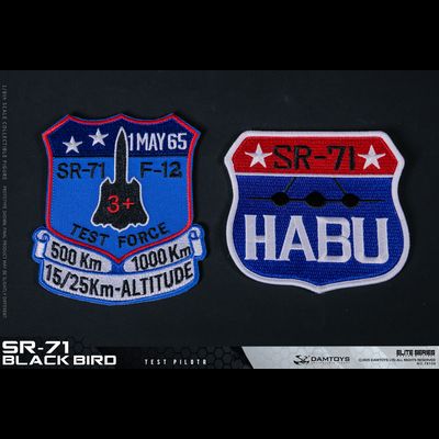 ПРЕДЗАКАЗ - Пилот SR-71 - Коллекционная ФИГУРКА 1/6 SR-71 BLACK BIRD TEST PILOT (78109) - DAMTOYS ?ЦЕНА: 25300 РУБ.?