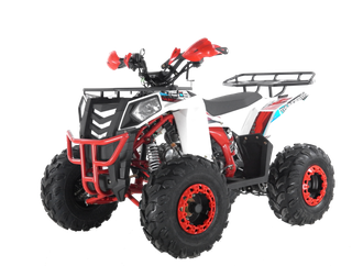 Купить Квадроцикл WELS ATV Thunder EVO 125