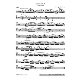 Orchester probespiel violoncello