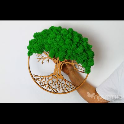 Живая Эко-Картина 1067