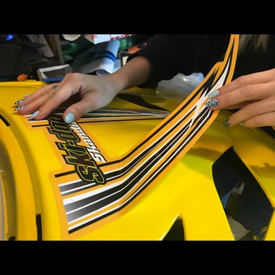 Наклейки на снегоход BRP Lynx Skandic 600 №2410