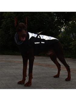 Куртка для собак My World My Rules