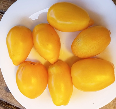 Томат гном Банановые пальчики (Banana Toes Tomato)