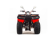 Квадроцикл MOTOLAND ATV 200 MAX низкая цена