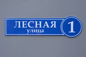 Табличка с названием улицы и номером дома в круге  600 х 165 мм, пвх 5 мм, пленка