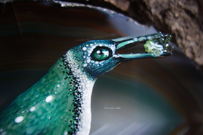 Брошь с изумрудом "Заполярный пингвин Альраи, ледяная птица"