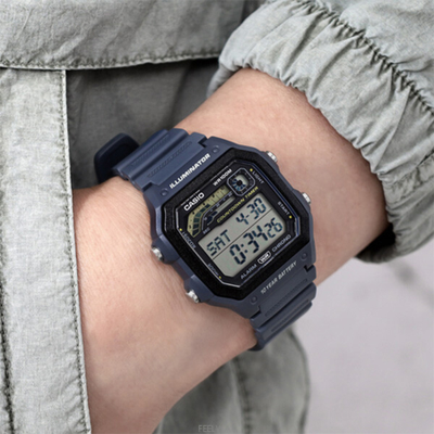 Часы Casio WS-1600H-2A