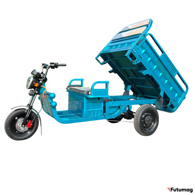 Грузовой электрический трицикл Rockwild Cargo C6 60V 45AH