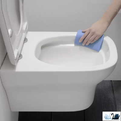 Чаша унитаза Jacob Delafon Vox EDM102-00, подвесная безободковая