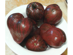 Семена томата Мятежный звездный истребитель  основной с носиком