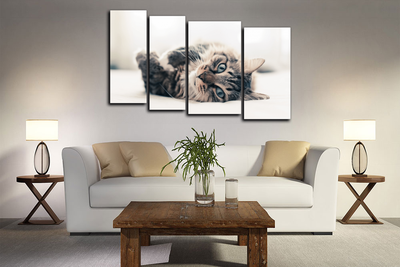 Модульная картина "Нежится на диване"