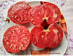 Томат Семейный великан