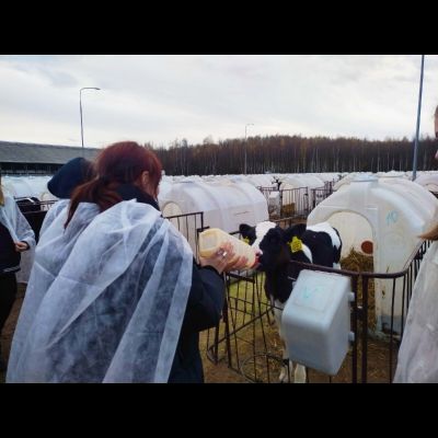 Экскурсия «на "ЭкоНиву" (молочный комплекс) и музей бумаги "Бузеон»