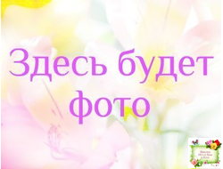 МТ-Навстречу Мечте (М. Тотиева) 2023 г.