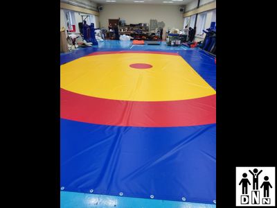 Покрышка борцовская плотность 630гр*м2 одноцветная карманы (цена за 1 м2) DNN