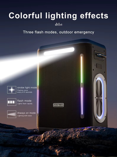 Караоке система с двумя микрофонами Sinoband Party 1981 300W