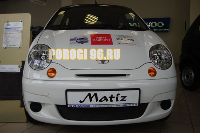 Защита радиатора Daewoo Matiz black