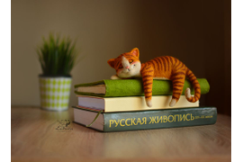 Кот Феликс