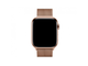 Браслет Apple Watch  миланский сетчатый, золотой