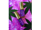 "Must have" духи цветочно - удовые