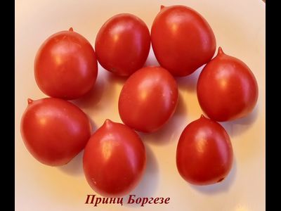 Томат Принц Боргезе (Principe Borghese, Италия)