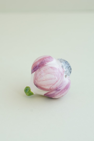 Чеснок мини