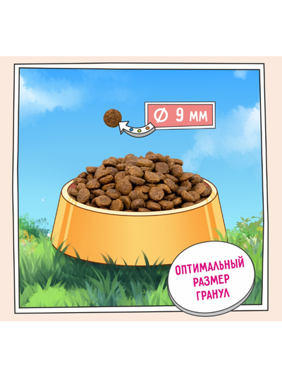 ZILLII Adult Dog Small Breed Sensitive Digestion Сухой корм для взрослых собак мелких пород с чувствительным пищеварением  Белая Рыба с Лососем 0.8 кг