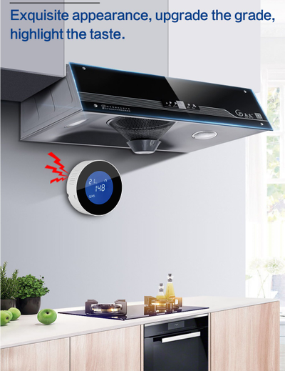 Датчик утечки газа GauTone PA210W с Wi-Fi