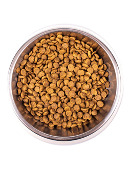 Monge Cat Daily Line Сухой корм для котят и беременных кошек, из курицы  10 кг