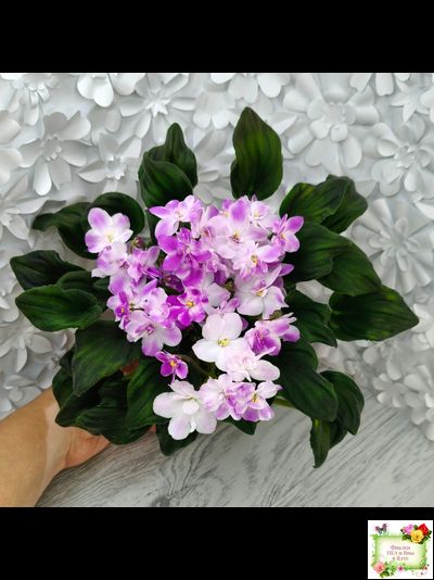 LV-Кирюша (Л. Шевелева) 2022 г. трейлер (клакамас)