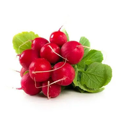 Редис пучок