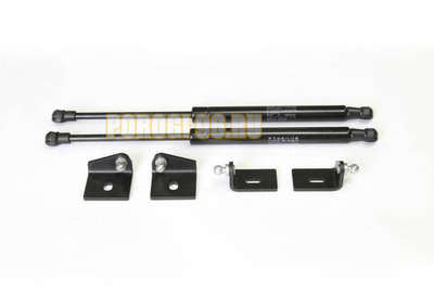 Амортизаторы капота, 2 шт. АвтоУпор для Citroen C4 II 2010-2016