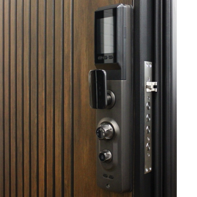 Стальная дверь   Jazz. Заказная модель.