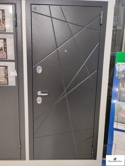 Дверь металлическая Граффити 5